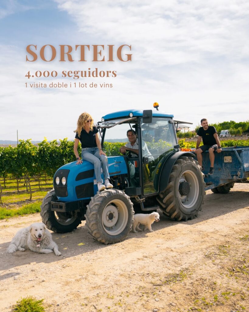 Llegamos a los 4000 seguidores en el instagram, muchas gracias