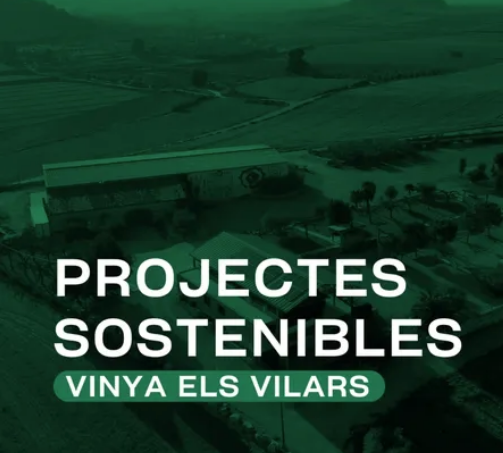 Vinya els Vilars reaffirms its commitment to sustainability and receives recognition from DO Costers del Segre